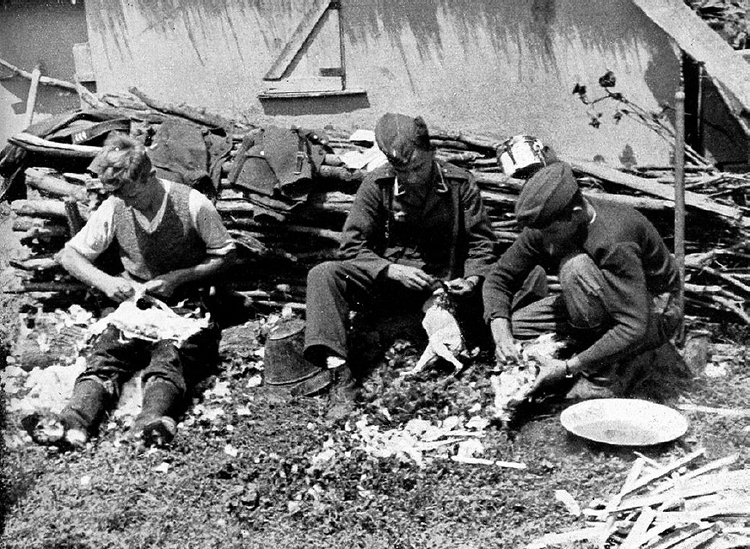 176a Zusatz Verpflegung