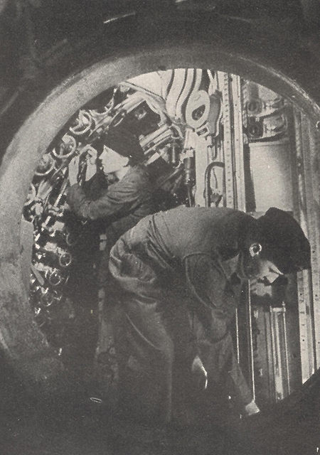Blick in die Zentrale Forenbildarchiv