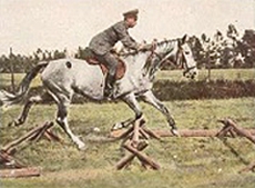 Bild 71 Pferdeausbildung