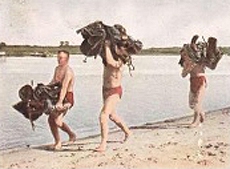 Bild 75 Schwimmübung der Kavallerie