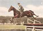 Bild 78 Turnierreiter