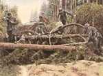 Bild 91 Schwere Baumsperre