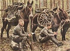 Bild 115 Verladetes Gebirgsgeschütz