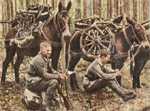 Bild 115 Verladetes Gebirgsgeschütz