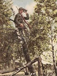 Bild 151 Baumbeobachtung