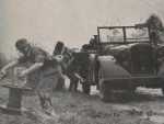 8a Forenbildarchiv