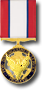 4 Army Distinguished Service Medal