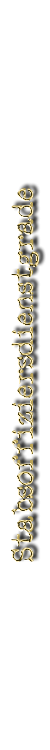 US-StabsoffizierX