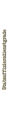 US-StabsoffizierX