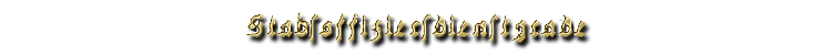 DR-Stabsoffiziere