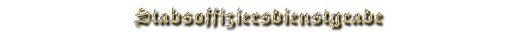 Ita-Stabsoffizier