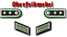 10-Oberfeldwebel