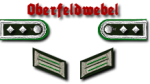 10-Oberfeldwebel