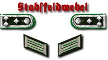 11-Stabsfeldwebel