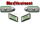 19-Oberstleutnant