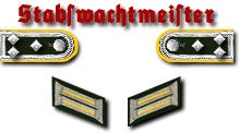 11-Stabsfeldwebel