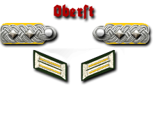20-Oberst