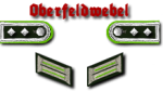 10-Oberfeldwebel