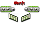 20-Oberst