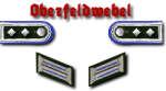 10-Oberfeldwebel