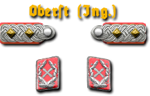19-Oberst
