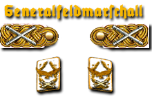 24-Generalfeldmarschall