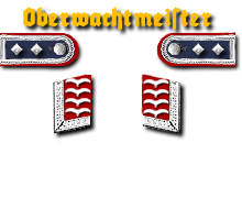 9-Oberfeldwebel