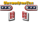 9-Oberfeldwebel