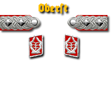19-Oberst