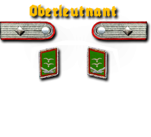 15-Oberleutnant