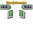 9-Oberfeldwebel