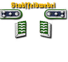 10-Stabsfeldwebel