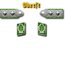 19-Oberst