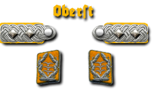 19-Oberst