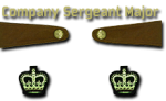 6-CSM