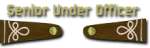 10-Senior Under Officer