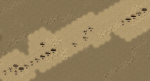 Crusader 10