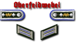 10-Oberfeldwebel