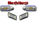 19-Oberstleutnant