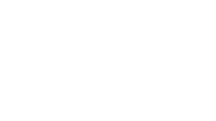 PJA 44