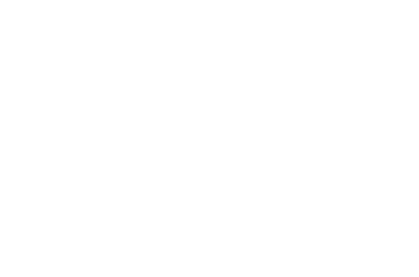 sPjA559