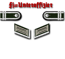 Pioniere Fj Uffz