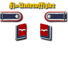 LW Fj Uffz Flak
