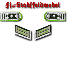 PzGrenadiere Fj StFw