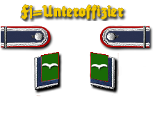 LWFD Ari Fj Uffz