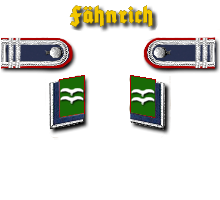 LWFD Ari Fj Fäh