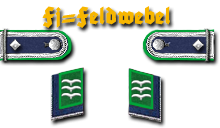 12a-Fj-Feldwebel
