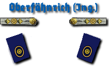 Oberfähnrich zur See Ingenieur