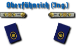 Oberfähnrich zur See Ingenieur