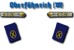 Oberfähnrich zur See Artillerie